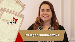 Explica Direito Filiação Socioafetiva  2019 [upl. by Anohs]