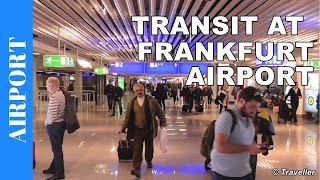 TRANSIT WALK AT FRANKFURT Airport FRA Terminal 1  Connection Flight Transfer Arriving amp Departing [upl. by Jannelle]